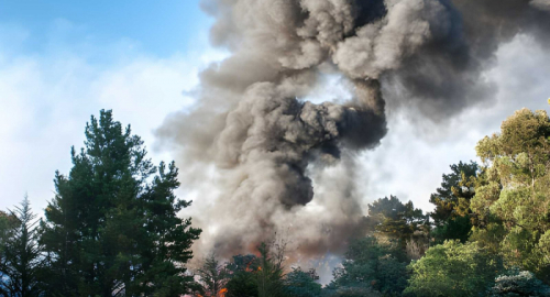 Incendio a Fontainebleau: evacuazioni, A6 chiusa e sospetti roghi dolosi